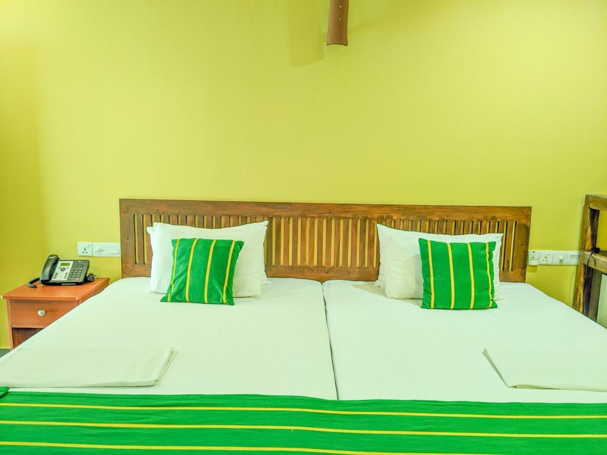 Couette-café Yala Golden Wild