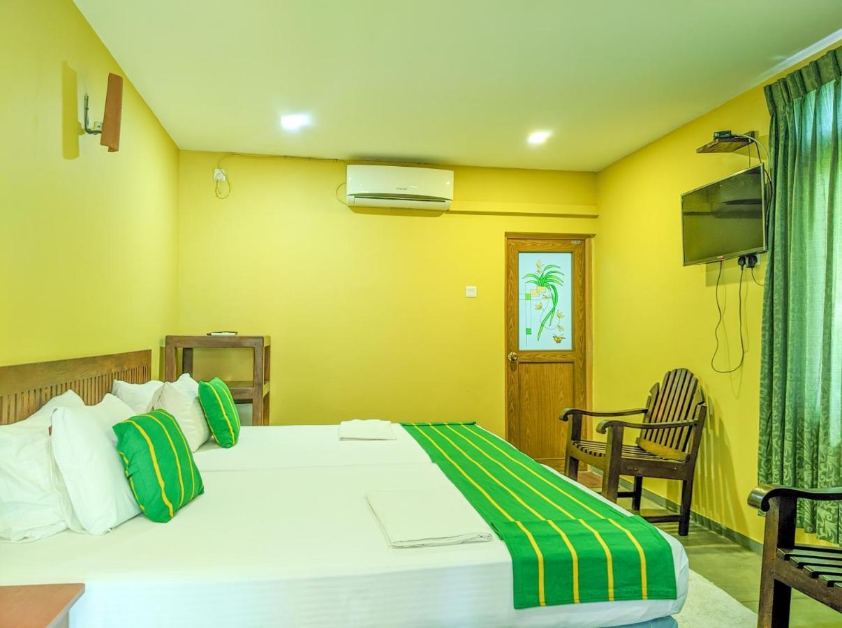 Yala Golden Wild Couette-café