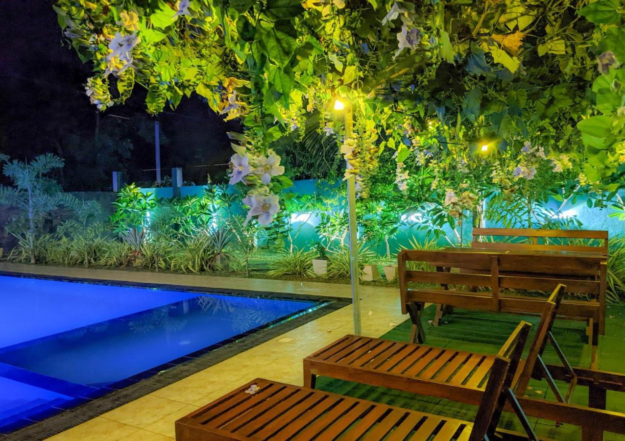 Yala Golden Wild Tissamaharama